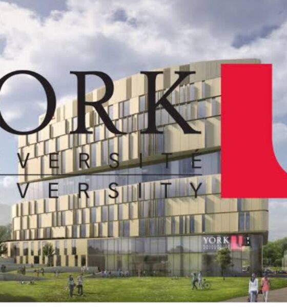 University of York scholarship