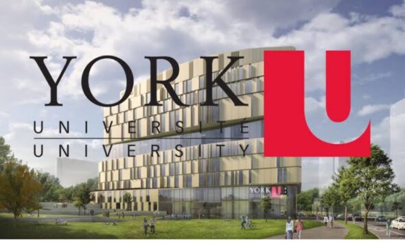 University of York scholarship
