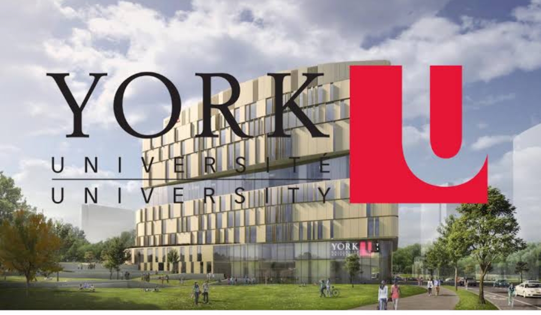 University of York scholarship